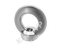 DIN 582 吊环螺母