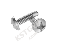 GB/T 15856.1 十字槽盘头自钻自攻螺钉