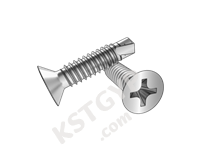 GB/T 15856.2 十字槽沉头自钻自攻螺钉